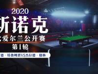 半岛体育app下载-爱尔兰豪取关键胜利，晋级下一轮的简单介绍