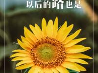 半岛体育网址-无畏前行，终将创造不可限量的成功的简单介绍