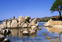 半岛体育app-中国职业篮球赛事即将继续展开